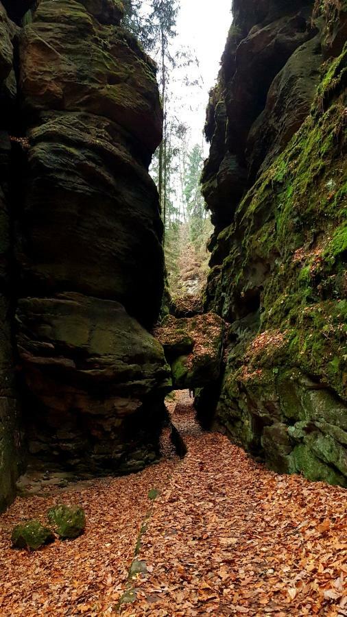 Ferienwohnung Struppi Saechsische Schweiz Struppen ภายนอก รูปภาพ